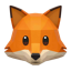 TidyFox